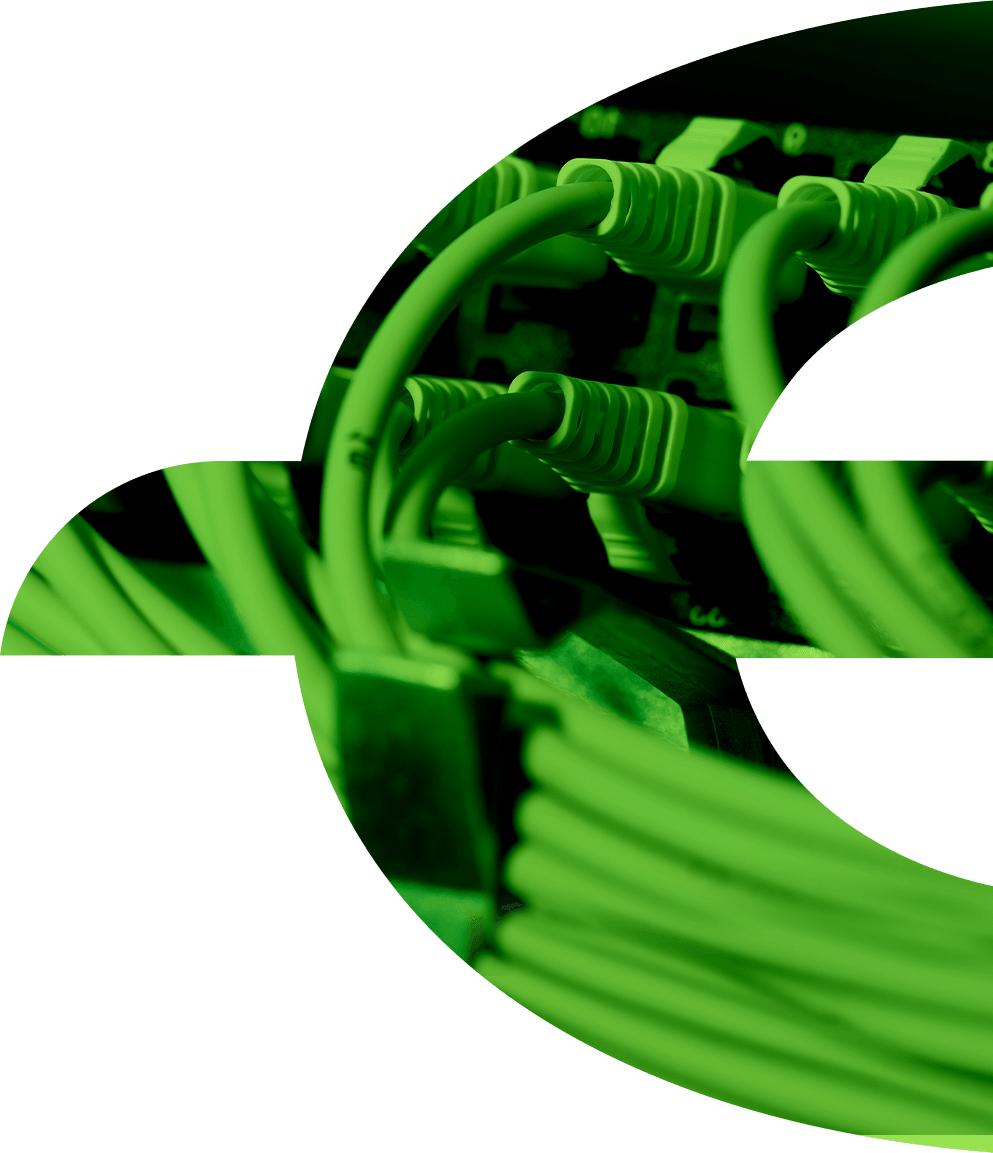 Logo Large